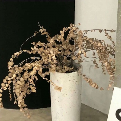 淮阳福瑞交流群